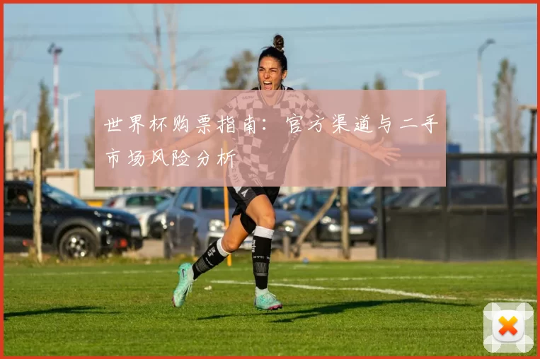 世界杯购票指南:官方渠道与二手市场风险分析