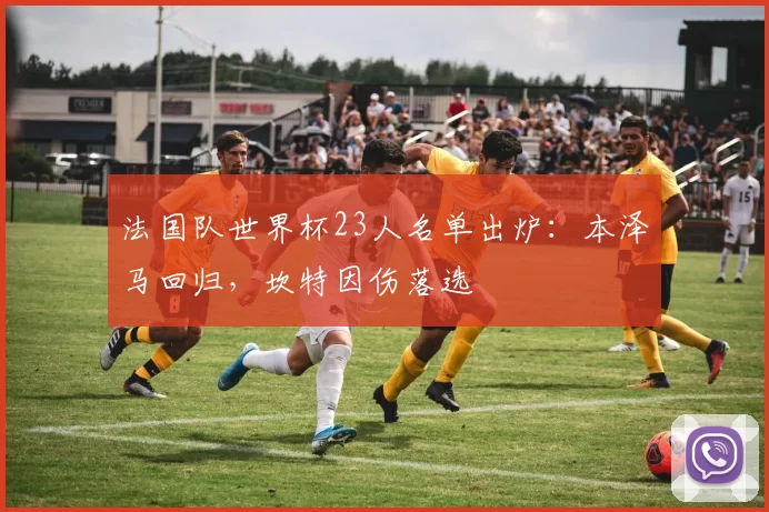 法国队世界杯23人名单出炉:本泽马回归,坎特因伤落选