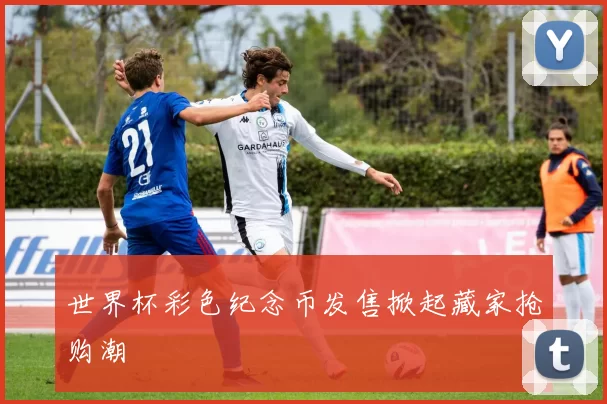 世界杯彩色纪念币发售掀起藏家抢购潮