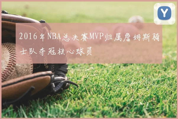 2016年NBA总决赛MVP归属詹姆斯骑士队夺冠核心球员