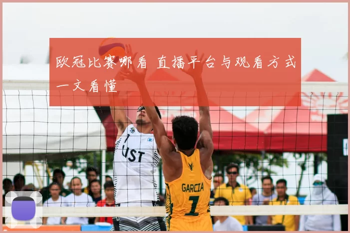 欧冠比赛哪看 直播平台与观看方式一文看懂