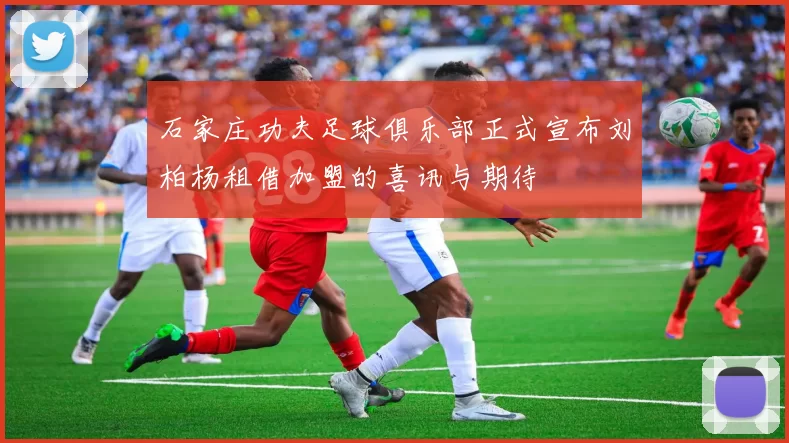 石家庄功夫足球俱乐部正式宣布刘柏杨租借加盟的喜讯与期待